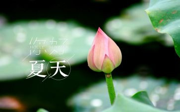 夏的原野作文优质6篇