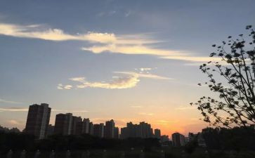 四下班队工作计划8篇