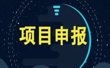 21项目工作总结参考8篇
