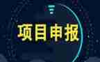 c项目心得体会优秀8篇