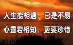 有关于相遇的作文最新5篇