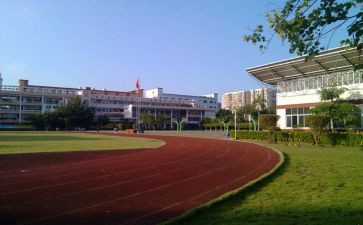 乡镇教育工作总结2024总结7篇