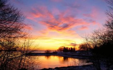 骆驼祥子读书心得精选8篇