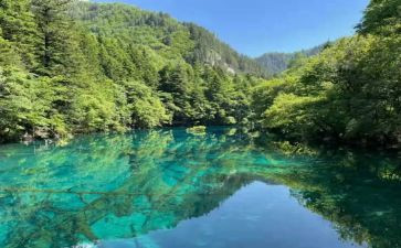 蔡先生心得体会7篇