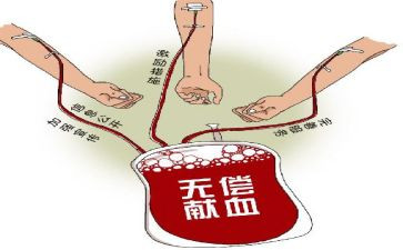 献血活动总结7篇