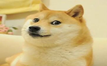 《笑》读后感300字5篇