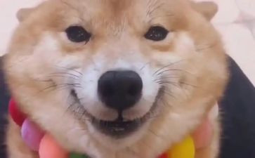 以笑为主题的演讲稿参考8篇