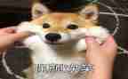 笑为话题的600字作文推荐8篇