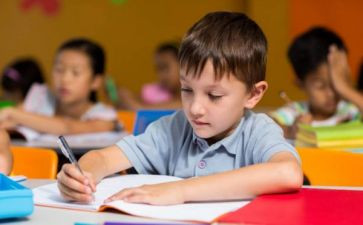 幼儿小班幼儿安全工作总结7篇