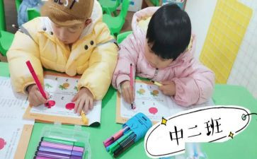 幼儿园小班安全活动教案5篇
