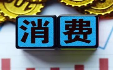 消费日的心得体会通用6篇