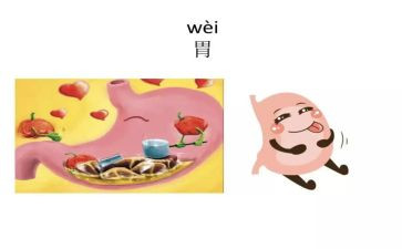 消化内科年度个人总结5篇