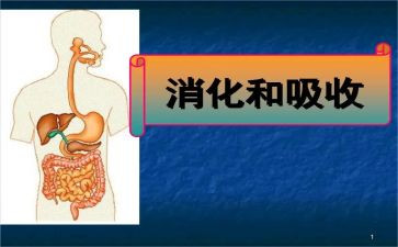 消化科自我鉴定6篇