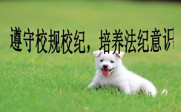 校纪检工作总结通用6篇