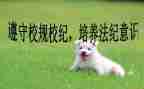 校纪检工作总结通用6篇