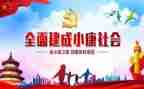 百年追梦全面小康的读后感6篇