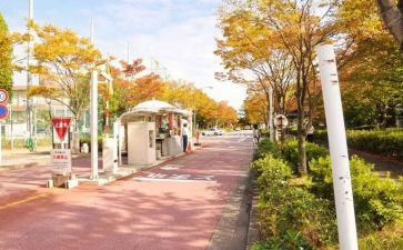 校内申请书通用8篇