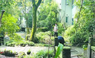 小区保洁下半年工作计划8篇