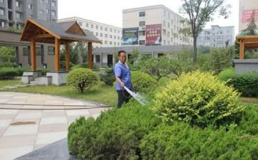 小区物业工作总结报告5篇