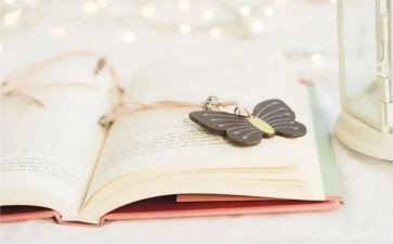 小说作文读后感6篇