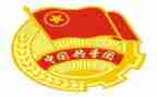 学校团委的工作总结6篇