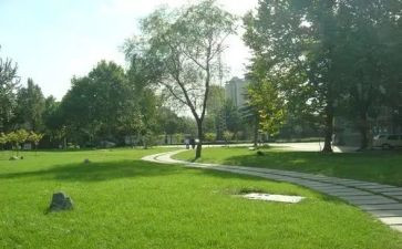 学校校务处工作总结6篇