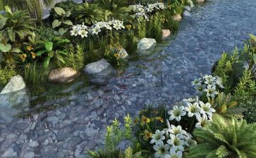 家乡的小溪作文600字精选7篇