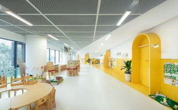 我的小学优秀作文5篇