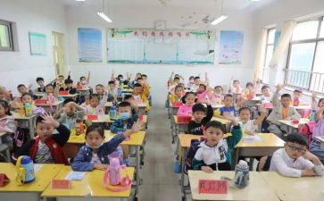 安全教育日小学生心得体会7篇