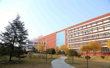 校园教师活动方案5篇