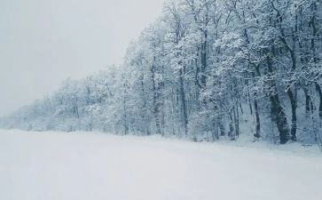 下雪天安全教案8篇