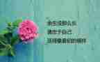 作文我最喜欢的人400字6篇