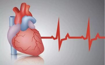 心电图室的自我鉴定5篇