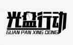 打击专项行动工作总结5篇