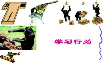 幼儿教师行为规范心得体会6篇