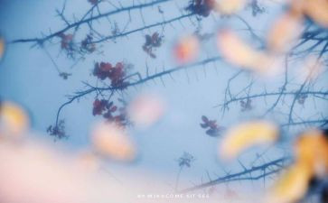 致心灵读后感6篇