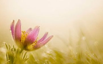 我的心灵作文800字7篇