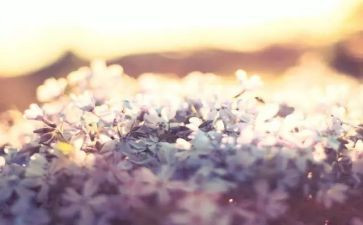 致心灵读后感推荐8篇