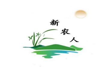 新农村的调查报告8篇
