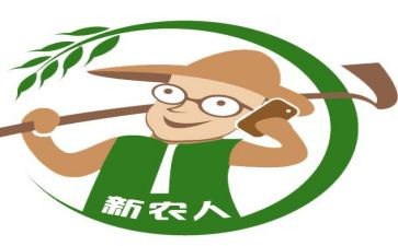 建设新农村工作计划8篇
