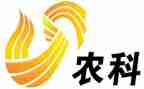 县新农村调研报告5篇
