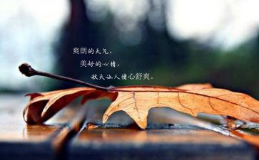 写心情的作文精选6篇