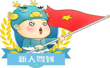 新人年终工作总结优秀5篇