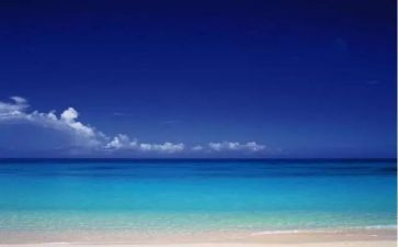 有关心胸宽广的作文8篇