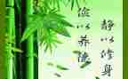 文明修身主题活动总结8篇
