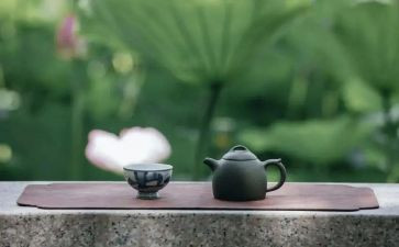 自我修养的作文7篇