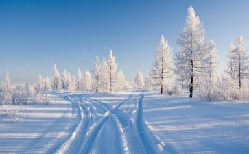 以雪为主题的演讲稿优质7篇