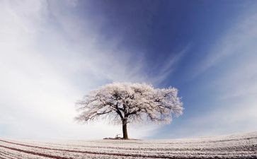 小雪节气主题班会教案6篇