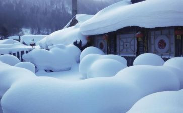 全年除雪工作总结报告5篇