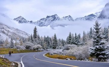 雪的读后感500字参考7篇
